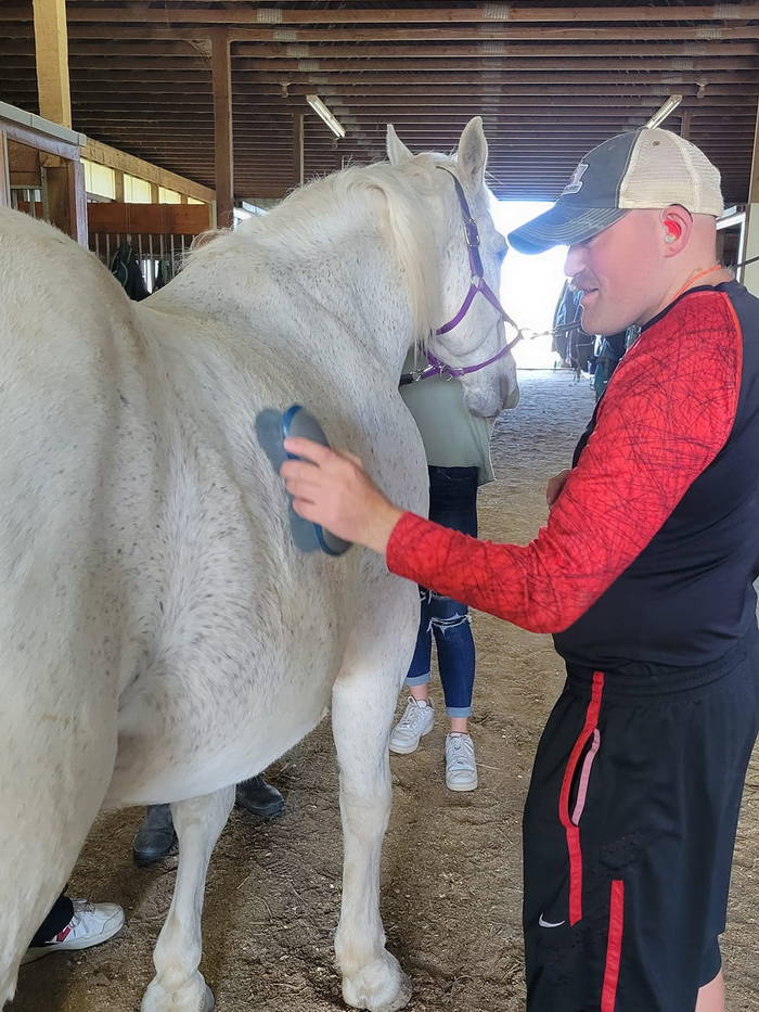 Equine Therapy with One Day Niche